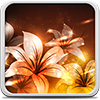 Светящиеся Цветы Живые Обои Версия: 22.0