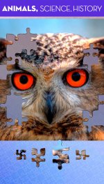 100 PICS Puzzles - Jigsaw game