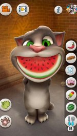 Говорящий Том