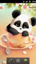 Sleepy обои Panda