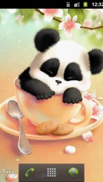 Sleepy обои Panda