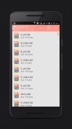 Framaroot File Manager
