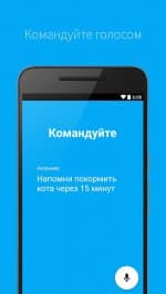 Ассистент Дуся