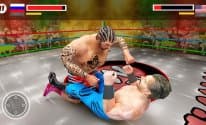 Wrestling Fight Revolution 18