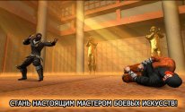 Ninja Kung Fu Fighting 3D - 2
