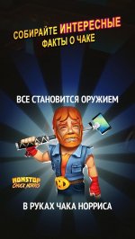 Nonstop Chuck Norris