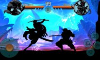 Shadow Warrior : Hero Kingdom Fight