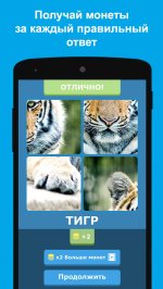 Угадай животных по фрагментам