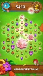 Blossom Blast Saga