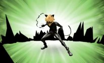 Cat noir Miraculous