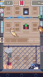 CatsJump!