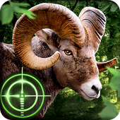 Дикий охотник - Wild Hunter 3D Версия: 1.0.9