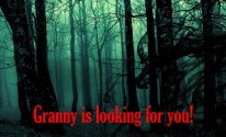 Найти бабулю - бабуля 2