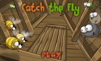Catch the Fly