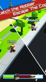 Cops and Robbers 2