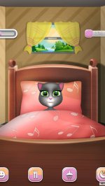 Моя Говорящая Кошка Koкo