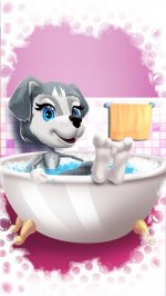 Lucy Dog Care and Play