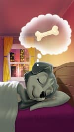 Lucy Dog Care and Play