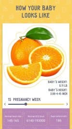 Календарь Беременности