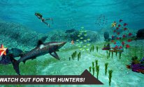 Shark Simulator 2018