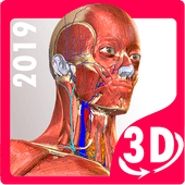 Anatomy Learning - 3D Atlas Версия: 2.1