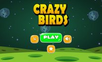 Crazy Birds