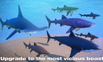 Shark Simulator 2019