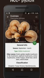 Справочник грибника