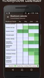 Справочник грибника