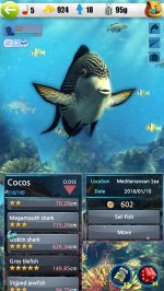 Летняя рыбалка