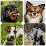 Породы собак Версия: 1.991