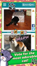 CauseCats