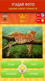 Королевская викторина