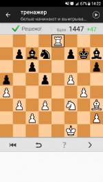 Шахматные головоломки