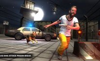 Police Dog Attack Prison Break