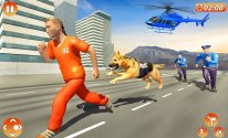Police Dog Prisoner Chase