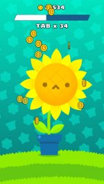 Цветущее дерево