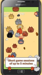 Драка котов: за еду и славу!