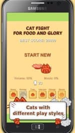 Драка котов: за еду и славу!