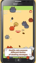 Драка котов: за еду и славу!