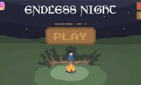 Endless Night