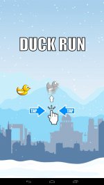 Duck Run