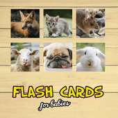 Flash Cards Версия: 005