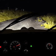 Endless Night Drive Версия: 1.0