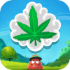 Kush Krush - Weed Match Game Версия: 1.0.84