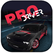 PRO-Driver Версия: 1.2