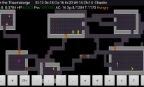 NetHack