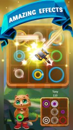 Cat Color Rings Puzzle