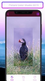 Picture Color Studio 2019