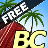 Beach Cricket Версия: 2.5.5